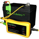 battery charger maintainer will extend your golf cart's batteries lofe